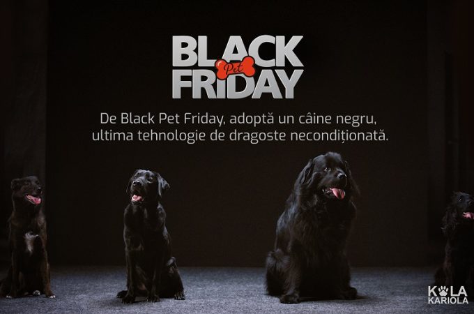 Black Pet Friday: o inițiativă de adopție care prezintă câinii negri din adăposturi ca ultima tehnologie de dragoste necondiționată